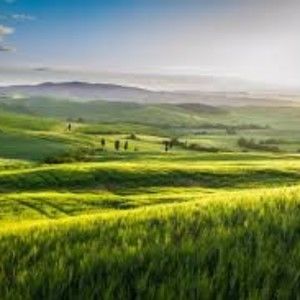 Meet your Posher, Jillian